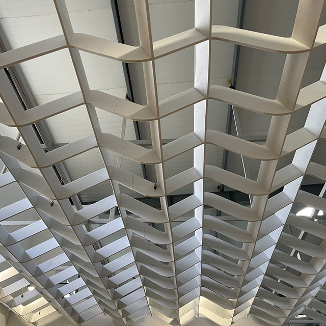 Wavy Acoustic TECTUM