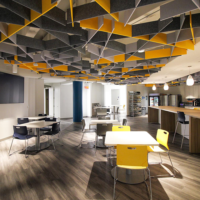 Irregulares Acoustic TECTUM Modules