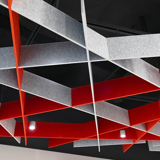 Irregulares Acoustic TECTUM Modules